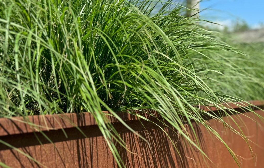 Cortenstaal afboording | Cortenstaal in de tuin | Cortenstaal maatwerk | Cortenstaal bloembak | Cortenstaal Maldegem